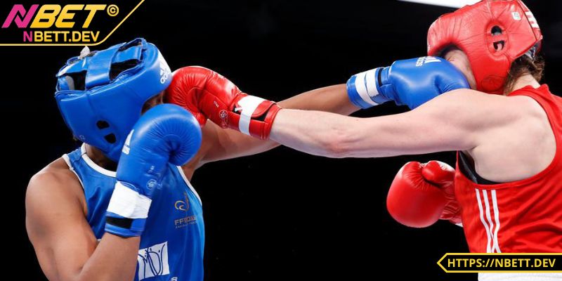 Cá Cược Boxing - Hướng Dẫn Chi Tiết, Cẩm Nang Thắng Lớn 3 Cược tỷ số chính xác