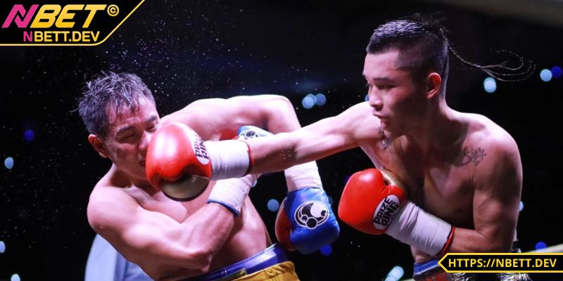 Cá Cược Boxing - Hướng Dẫn Chi Tiết, Cẩm Nang Thắng Lớn 2 Kèo thắng thua là loại kèo cơ bản nhất