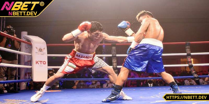Cá Cược Boxing - Hướng Dẫn Chi Tiết, Cẩm Nang Thắng Lớn 1 Thông tin về cá cược Boxing