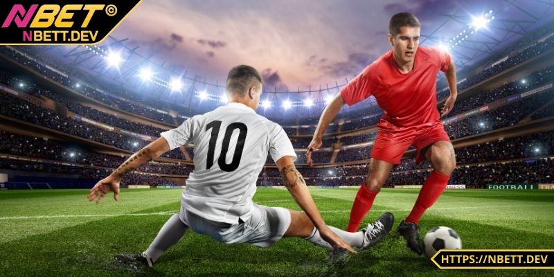 SBO Thể Thao - Khám Phá Trải Nghiệm Cá Cược Đỉnh Cao 3 Tennis là môn hấp dẫn được nhiều người yêu thích